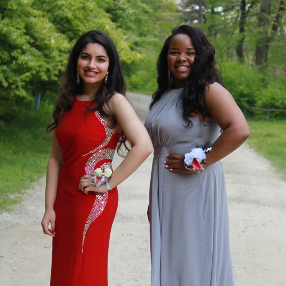 Prom/Formal Dress - Picture 3 of 6